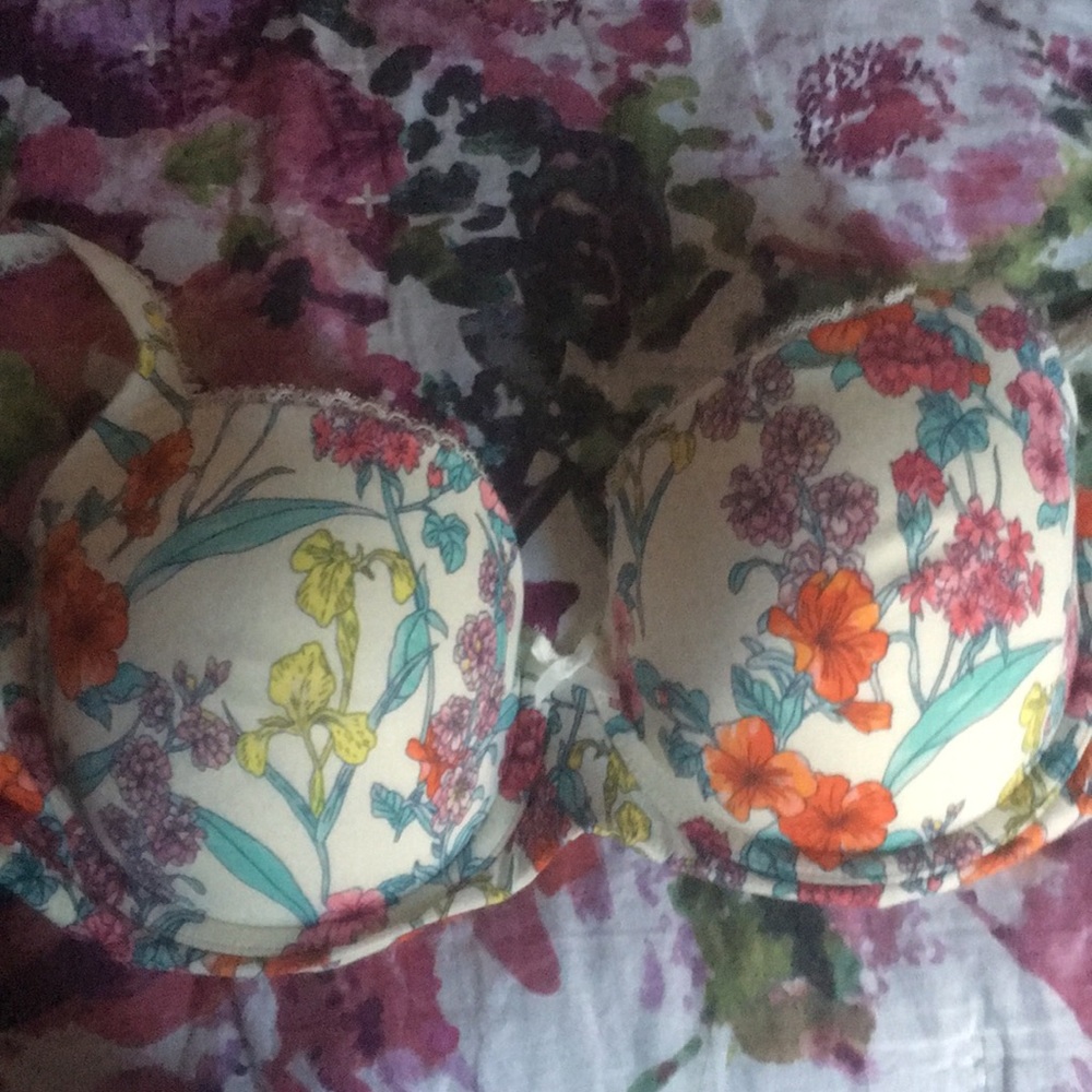 36D live in pretty bra